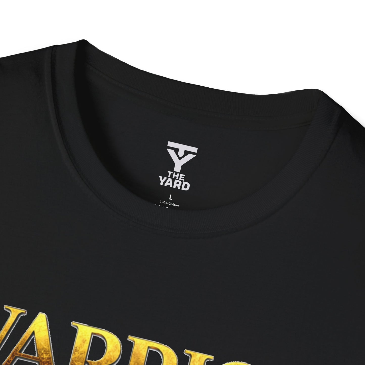 Roman Warrior Discipline T-Shirt — Empire Gym Apparel